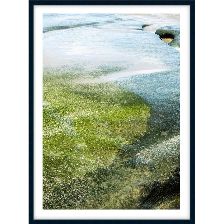 Salt & Moss I