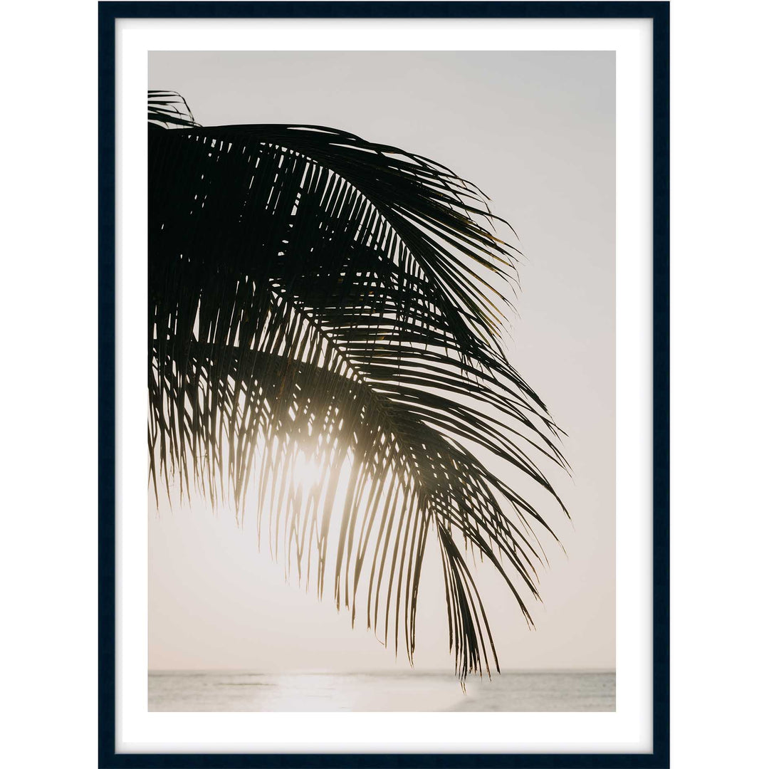 Sunset Palm
