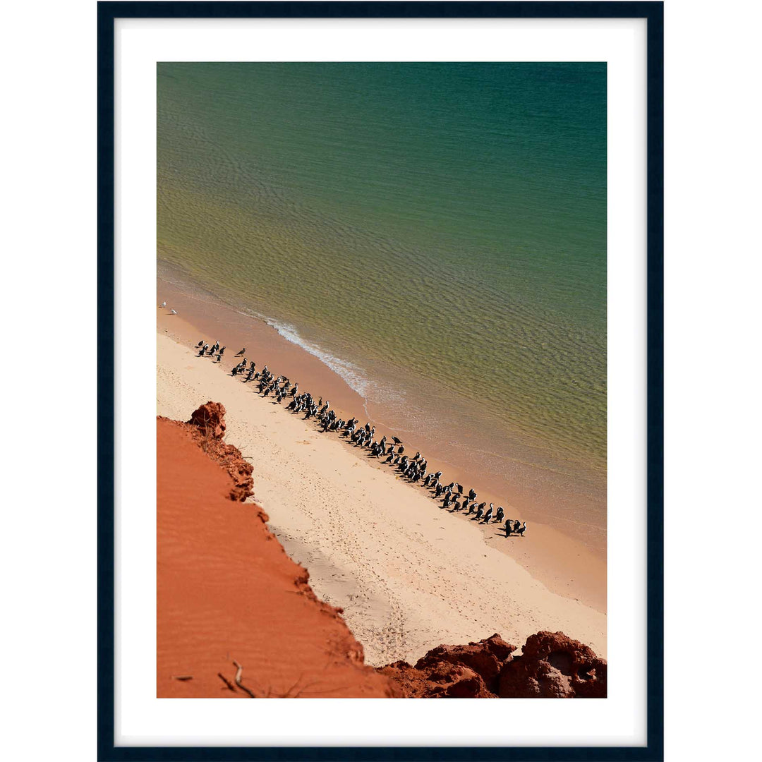 Shark Bay - Western Australia