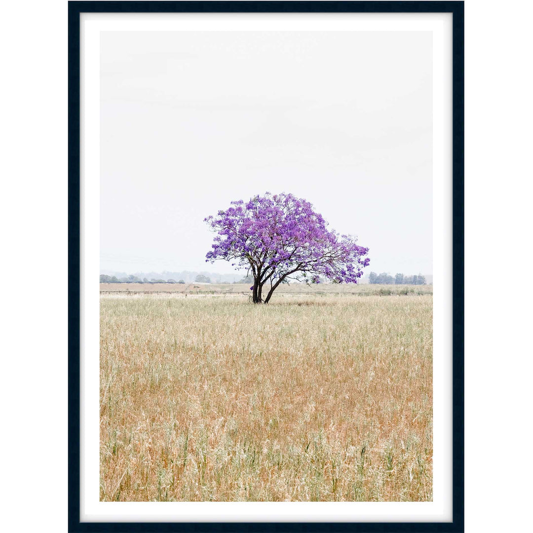 The Lonely Jacaranda I