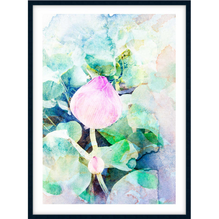 Watercoloured Rose