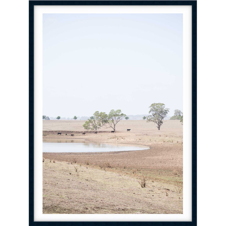 The Drought no.2 - The Hunter Valley