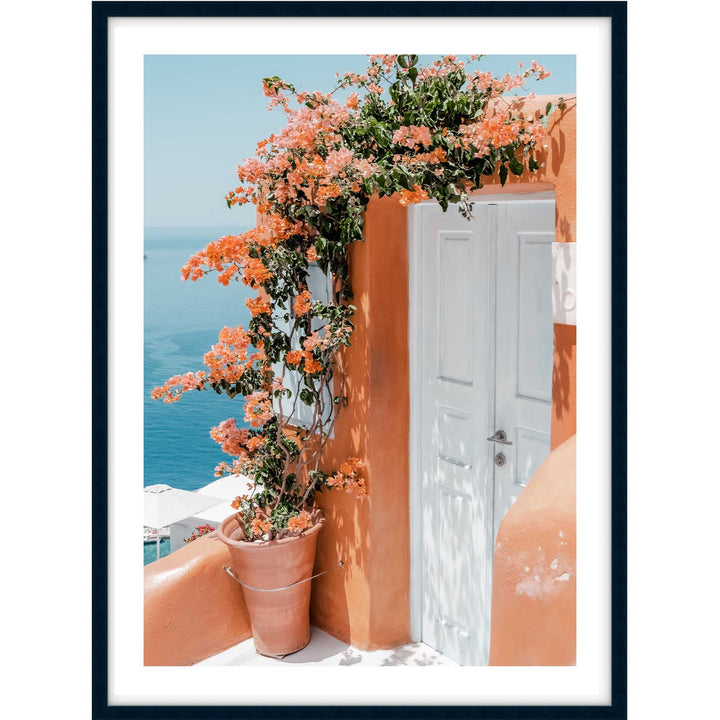 Cliffside Peach