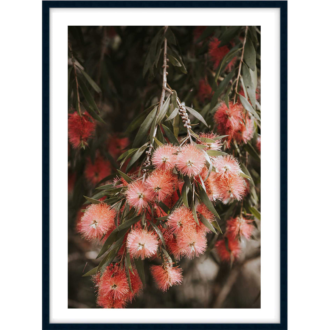 Bottle Brush I