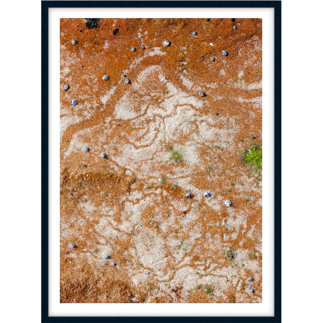 Traces in Ochre