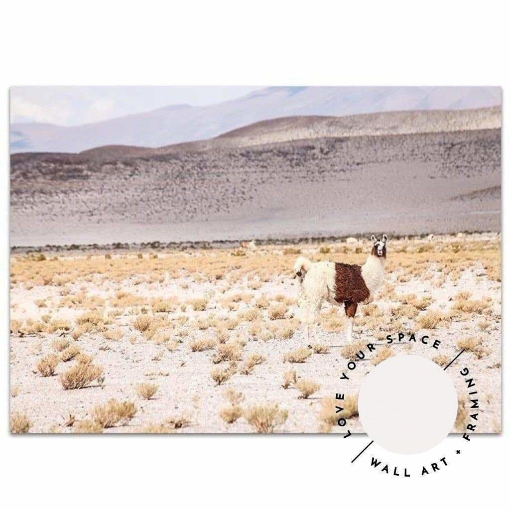 Desert I - Bolivia - Love Your Space