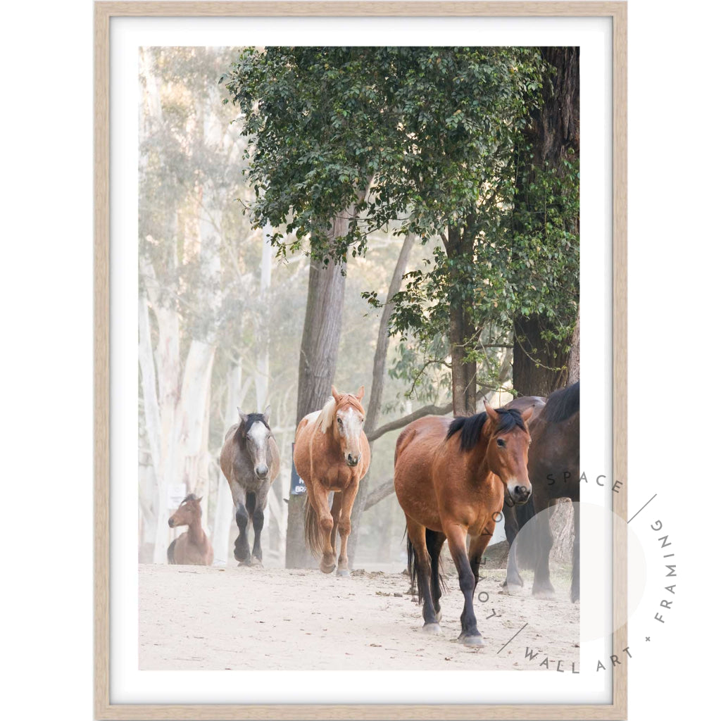 Glenworth Valley I A4 (21cm x 29.7cm) / Oak Posters Prints & Visual Artwork