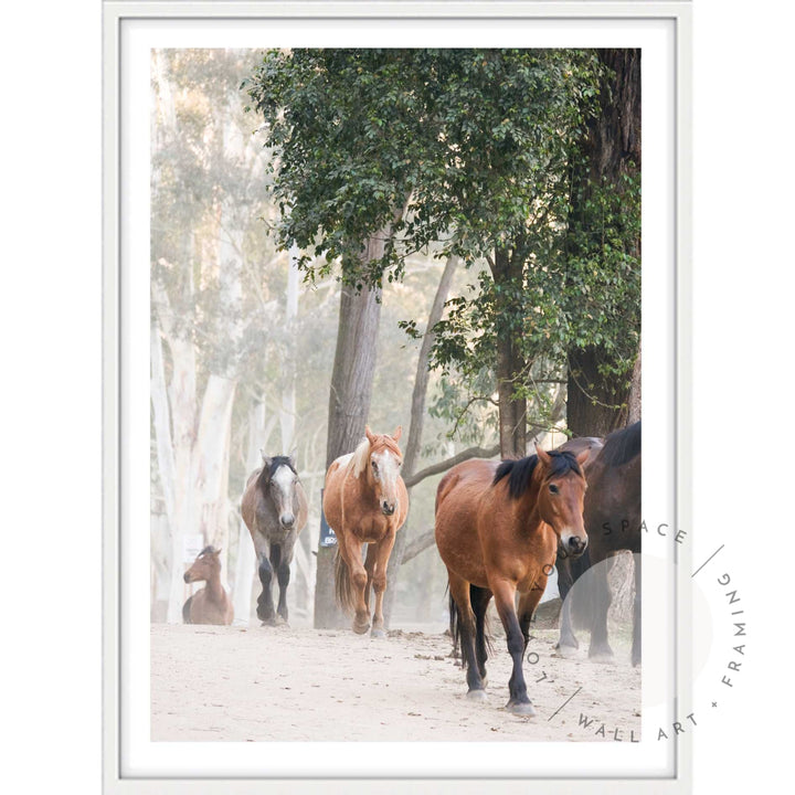 Glenworth Valley I A4 (21cm x 29.7cm) / White Posters Prints & Visual Artwork