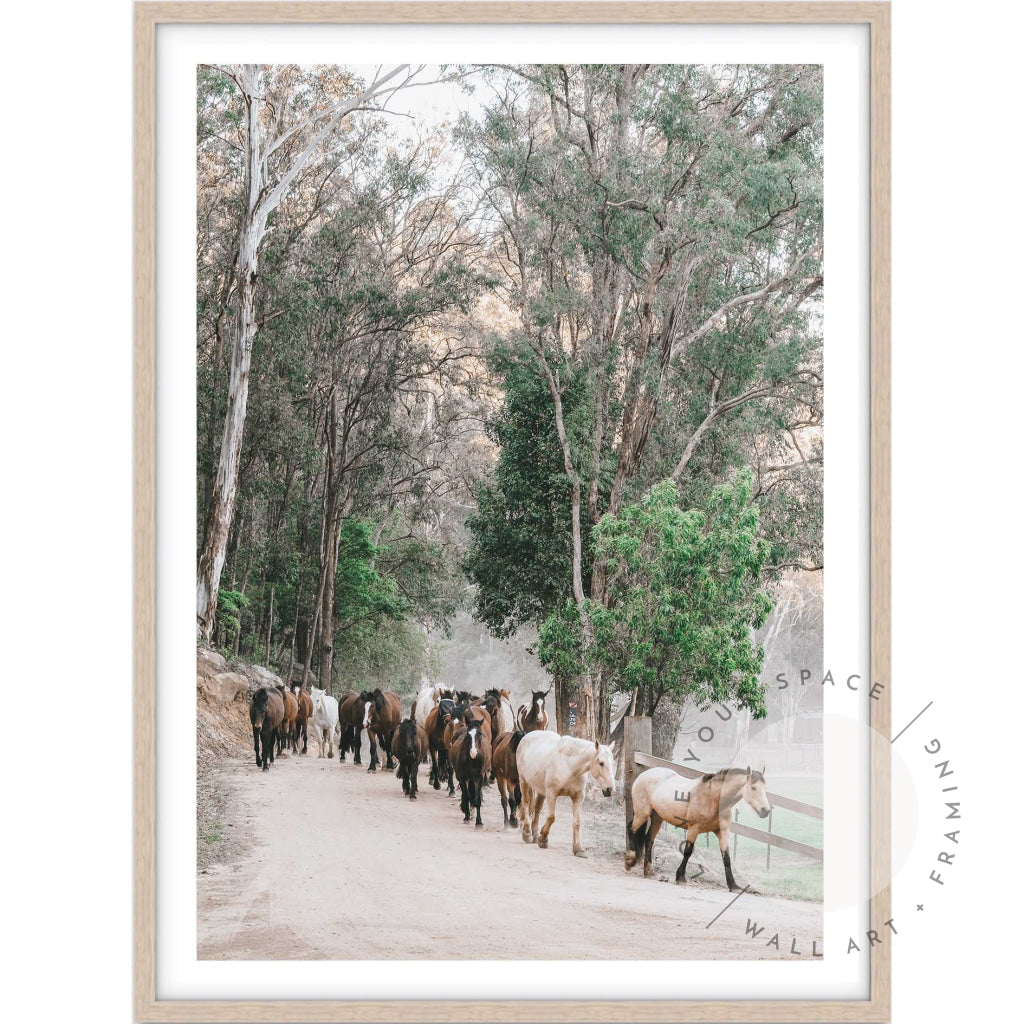 Glenworth Valley II A4 (21cm x 29.7cm) / Oak Posters Prints & Visual Artwork