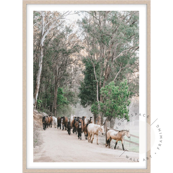 Glenworth Valley II A4 (21cm x 29.7cm) / Oak Posters Prints & Visual Artwork