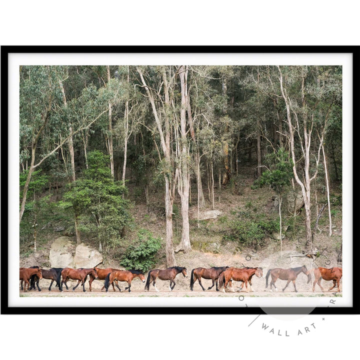 Glenworth Valley III A4 (21cm x 29.7cm) / Black Posters Prints & Visual Artwork