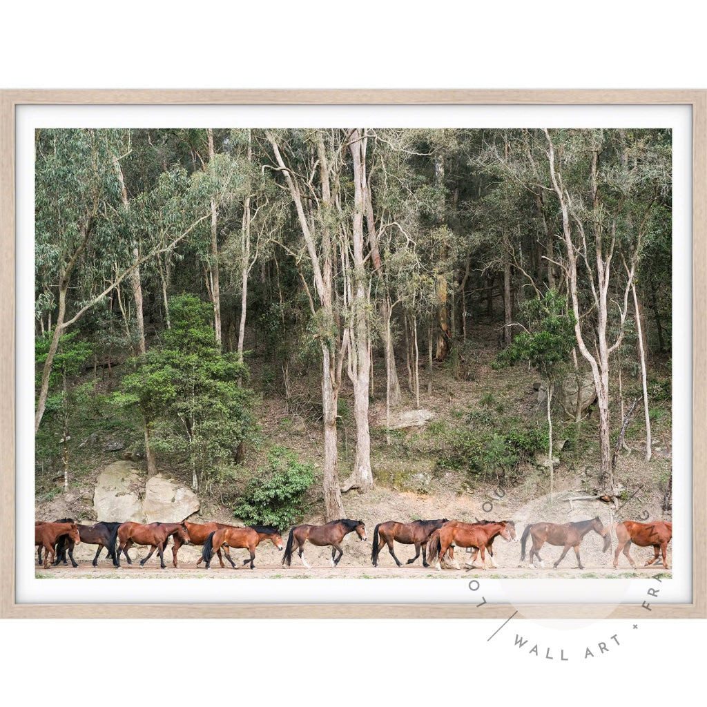 Glenworth Valley III A4 (21cm x 29.7cm) / Oak Posters Prints & Visual Artwork