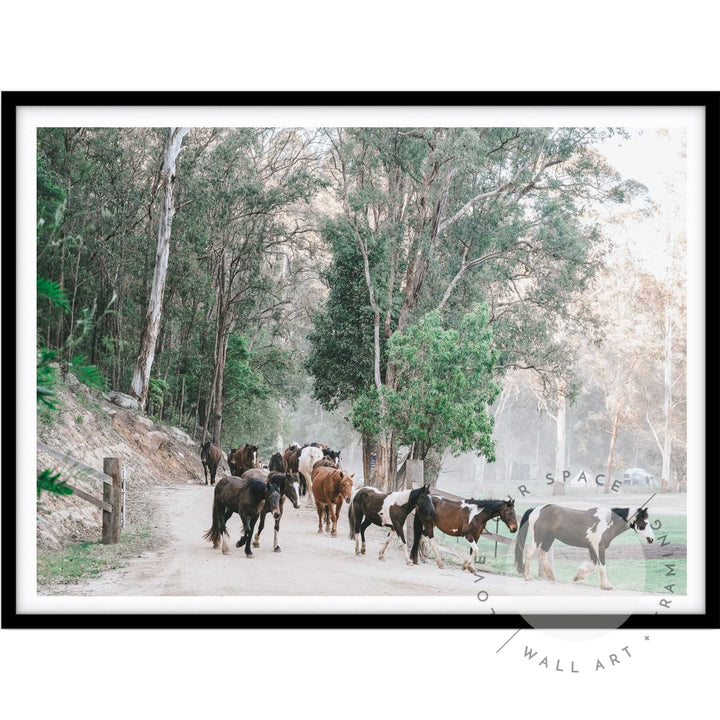 Glenworth Valley IIII A4 (21cm x 29.7cm) / Black Posters Prints & Visual Artwork