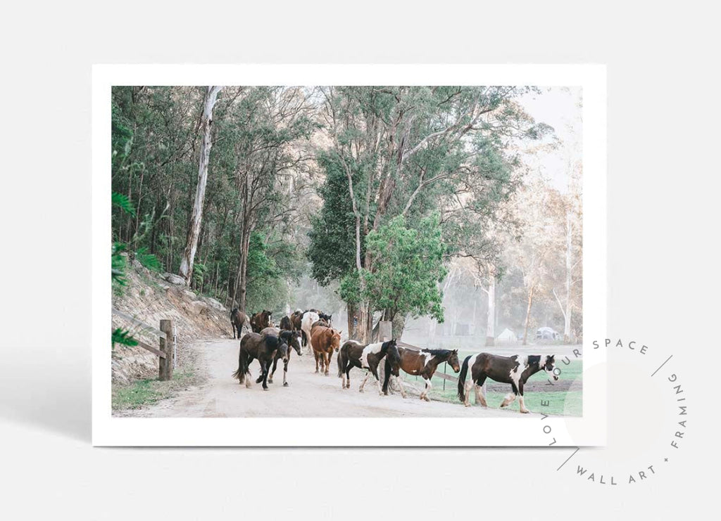 Glenworth Valley IIII A4 (21cm x 29.7cm) / No Frame Posters Prints & Visual Artwork