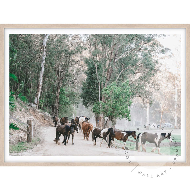 Glenworth Valley IIII A4 (21cm x 29.7cm) / Oak Posters Prints & Visual Artwork