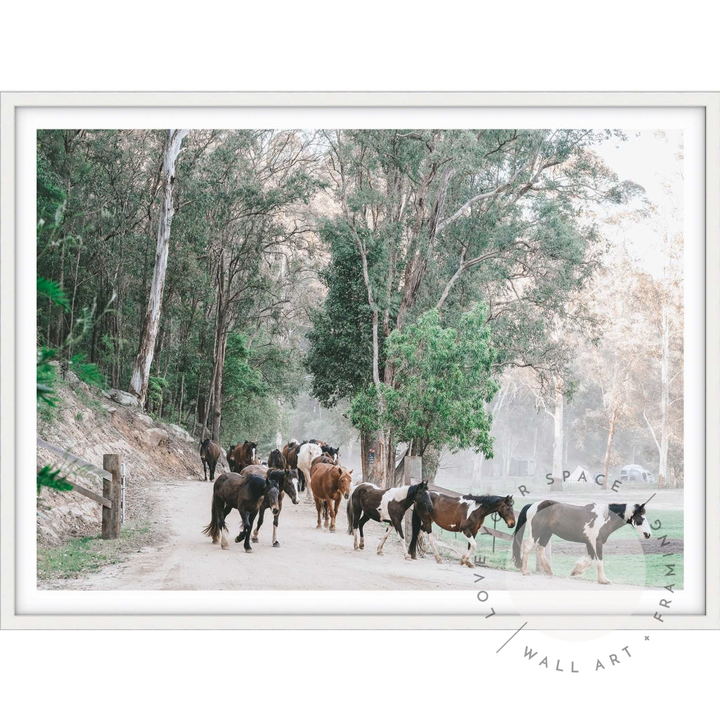 Glenworth Valley IIII A4 (21cm x 29.7cm) / White Posters Prints & Visual Artwork