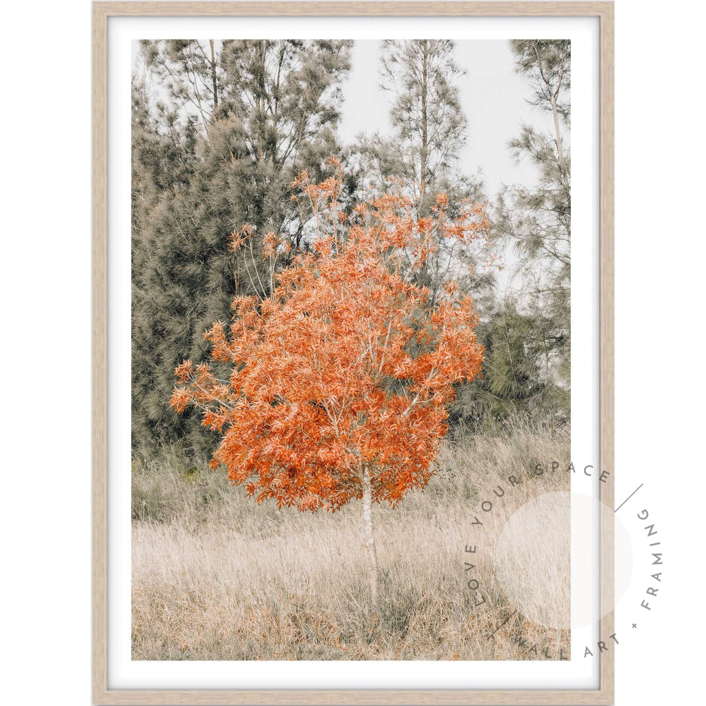 Ignite A4 (21cm x 29.7cm) / Oak Posters Prints & Visual Artwork