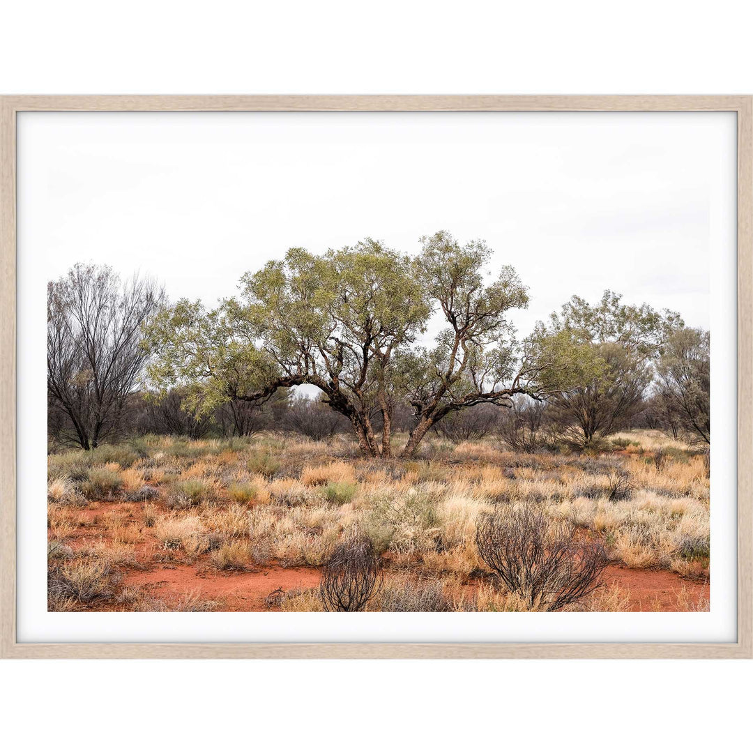 Red Dirt - Uluru III