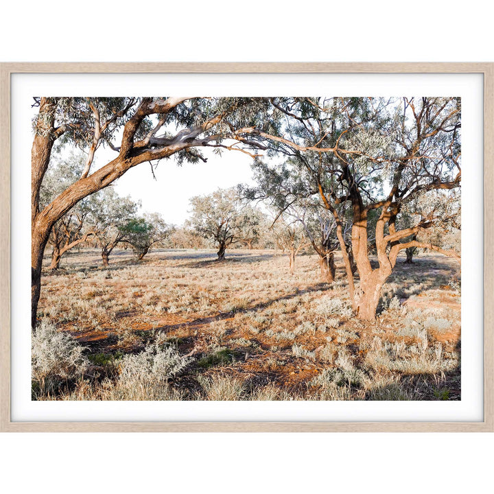 The Darling River Banks II