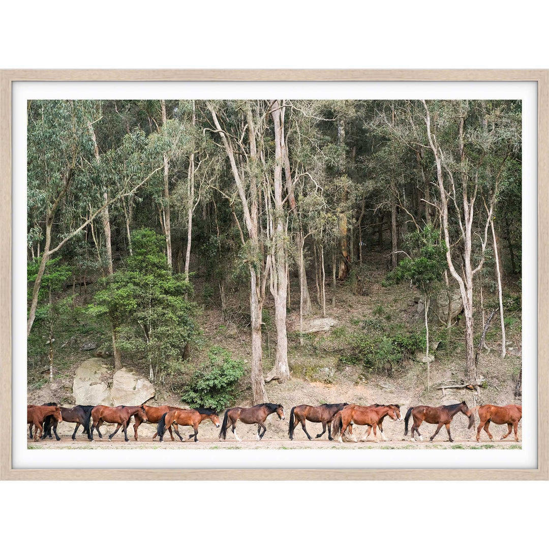 Glenworth Valley III