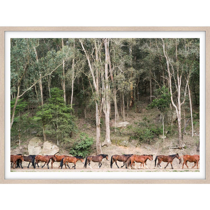 Glenworth Valley III