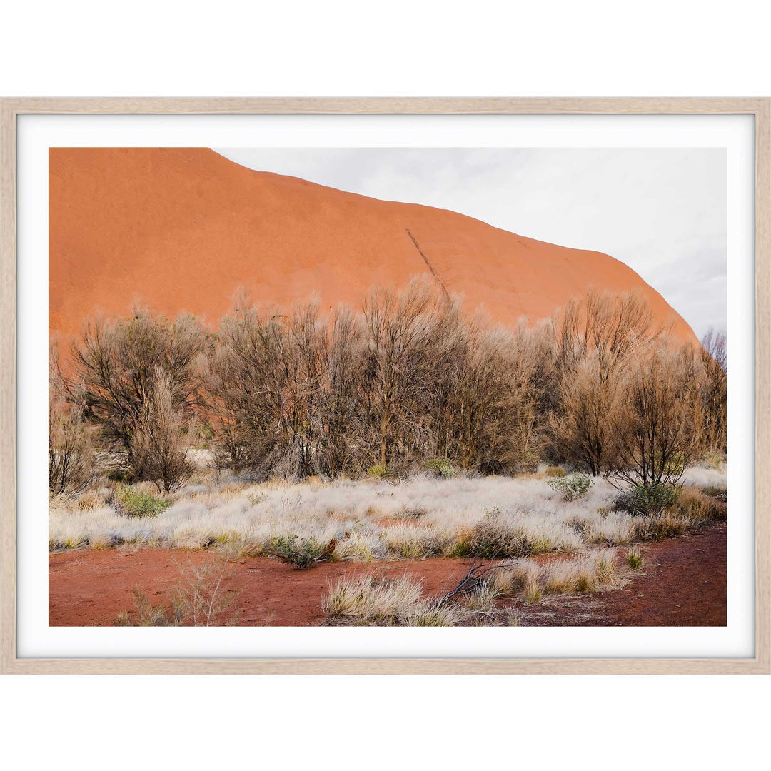 Red Dirt - Uluru IV