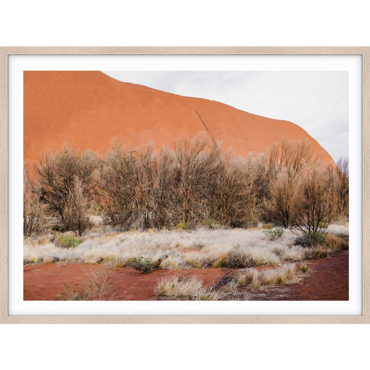 Red Dirt - Uluru IV