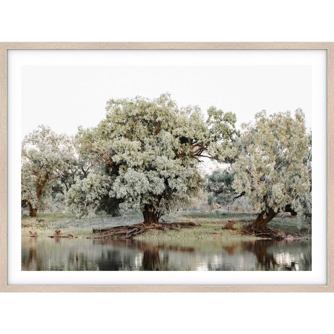 The Darling River Flooded II