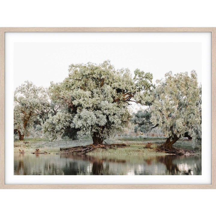 The Darling River Flooded II