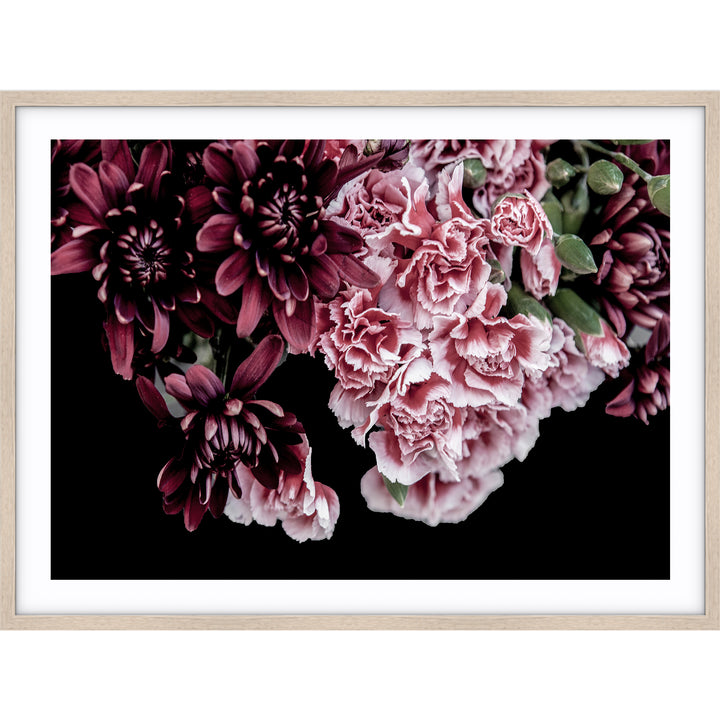 Carnations II