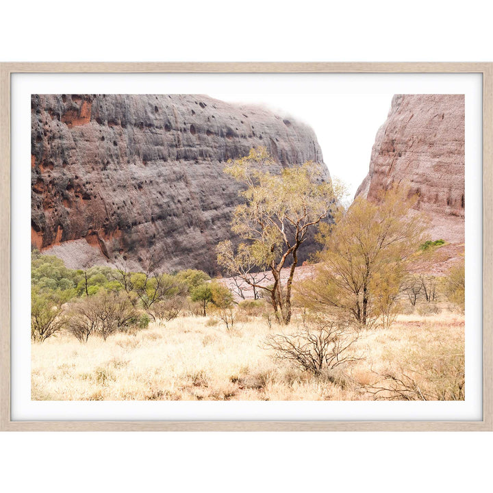 Walpa Gorge Uluru I