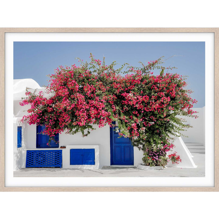 Bloomwashed Greece