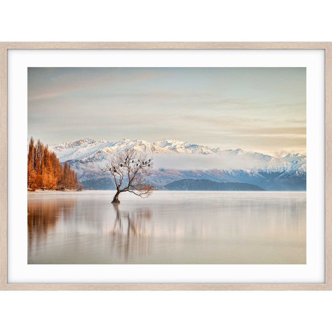 Lake Wanaka Otago - New Zealand
