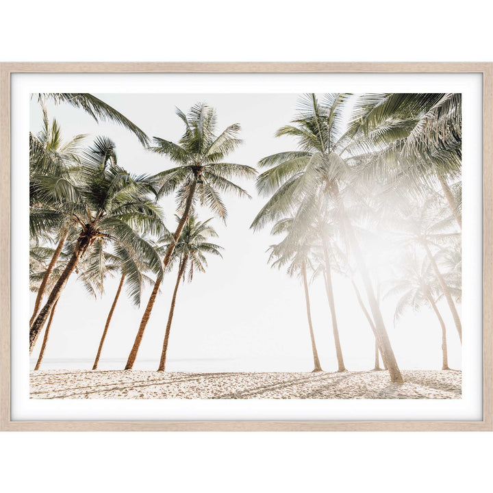 Maldive Palms I