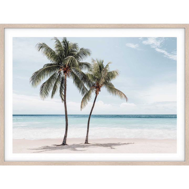 Maldive Palms III