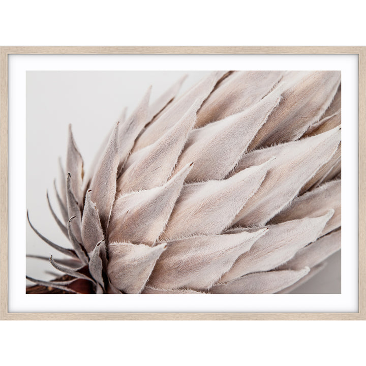 Ageing Gracefully III