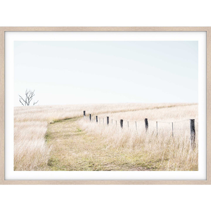 Pop's Paddock - Country NSW