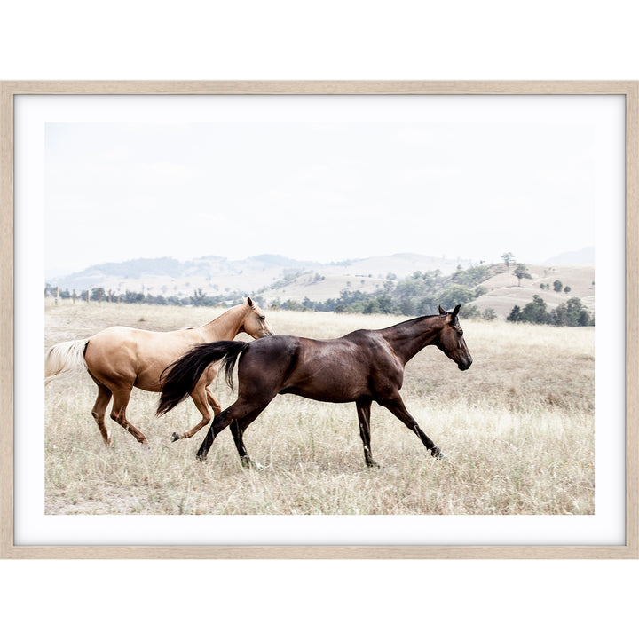 Ishani & Aussie no.1 - The Hunter Valley