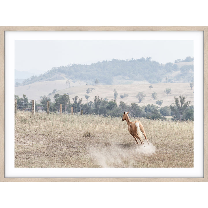 Ishani - The Hunter Valley