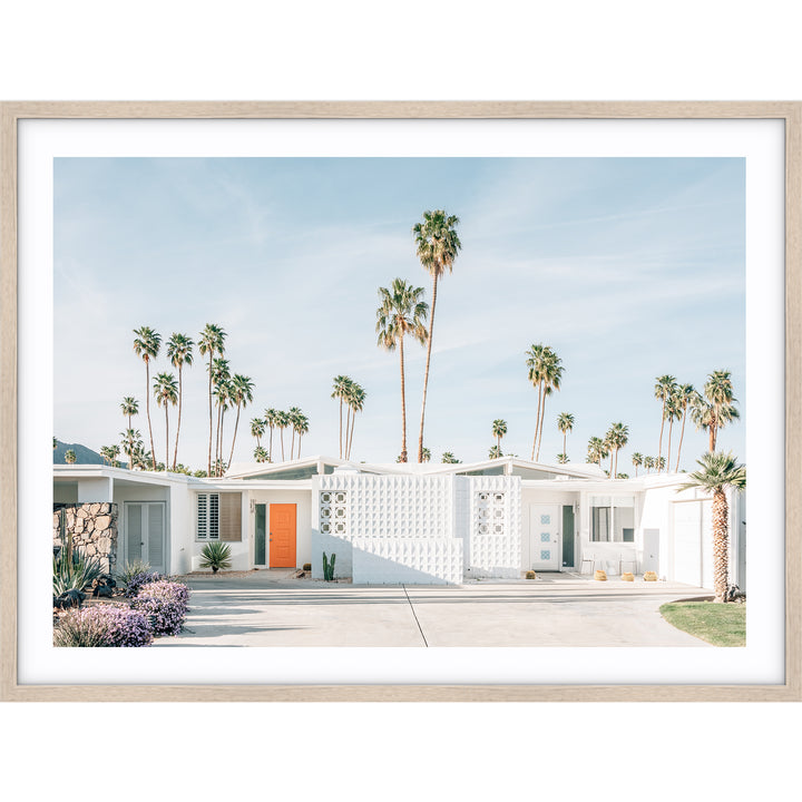 Palm Springs no.1