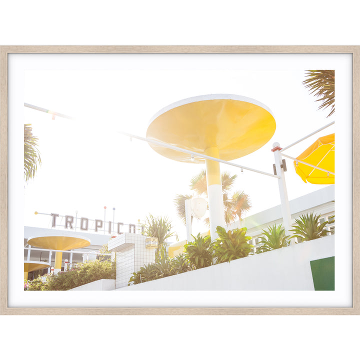 Tropicola no.1