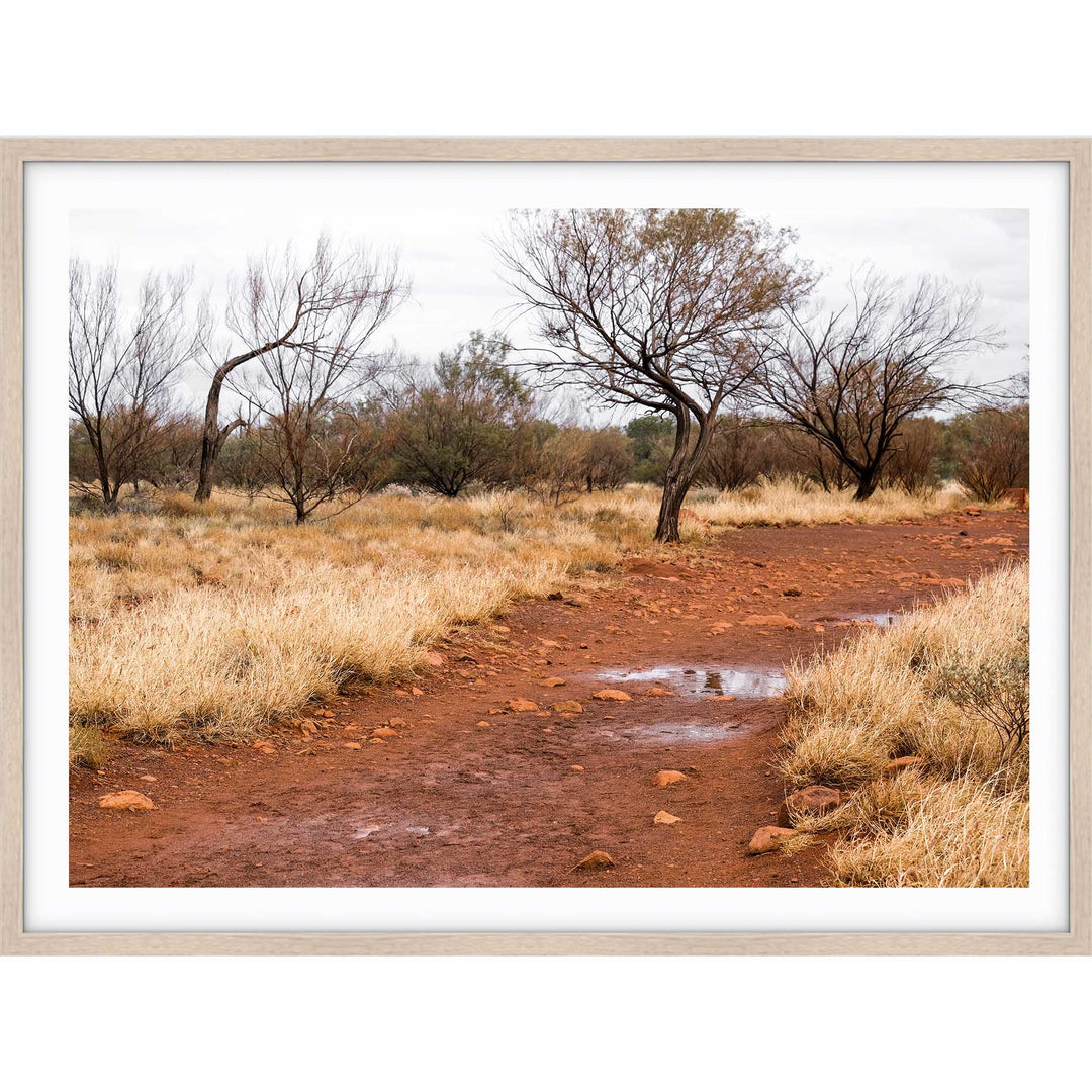 Red Track Uluru