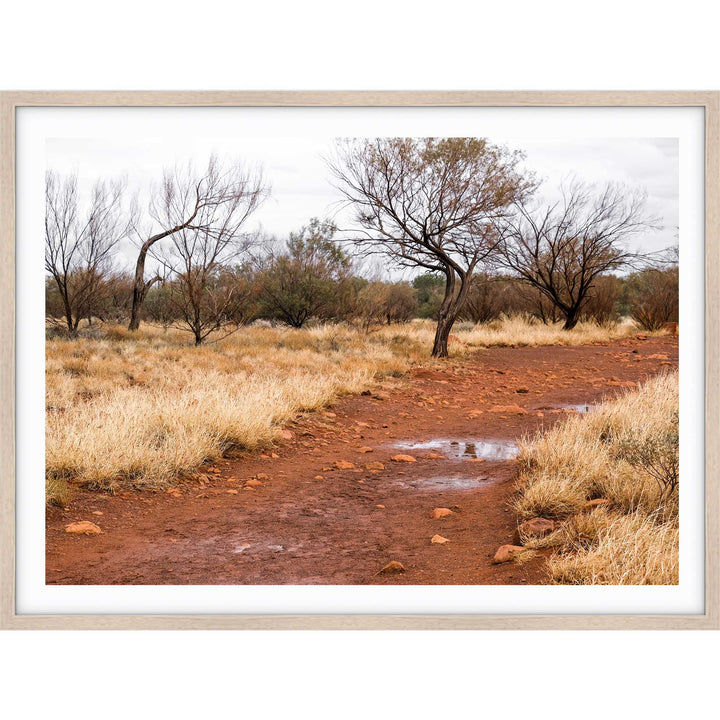 Red Track Uluru