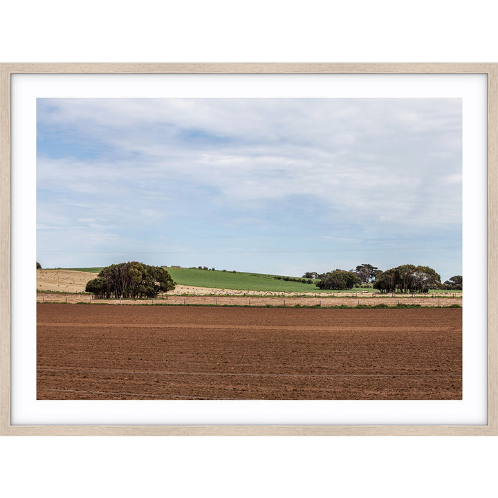 Potato Farm - Country Victoria
