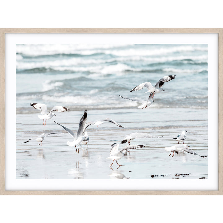 Wings - Warrnambool