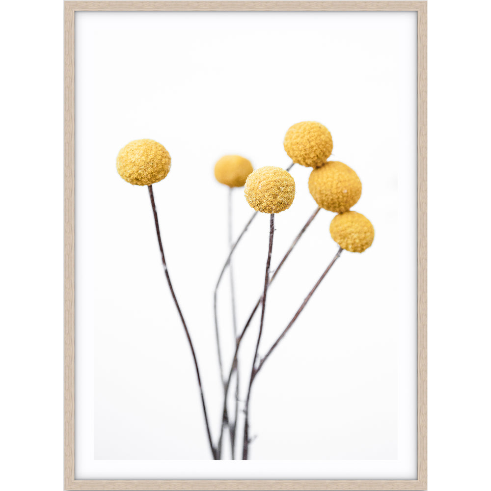 Billy Buttons - Love Your Space