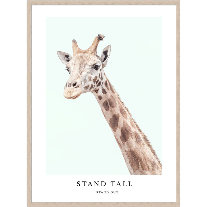 Stand Tall