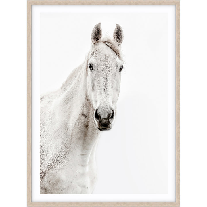 Silver Horse I - PORTRAIT
