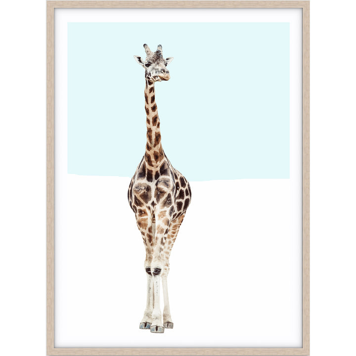 Giraffe - Blue