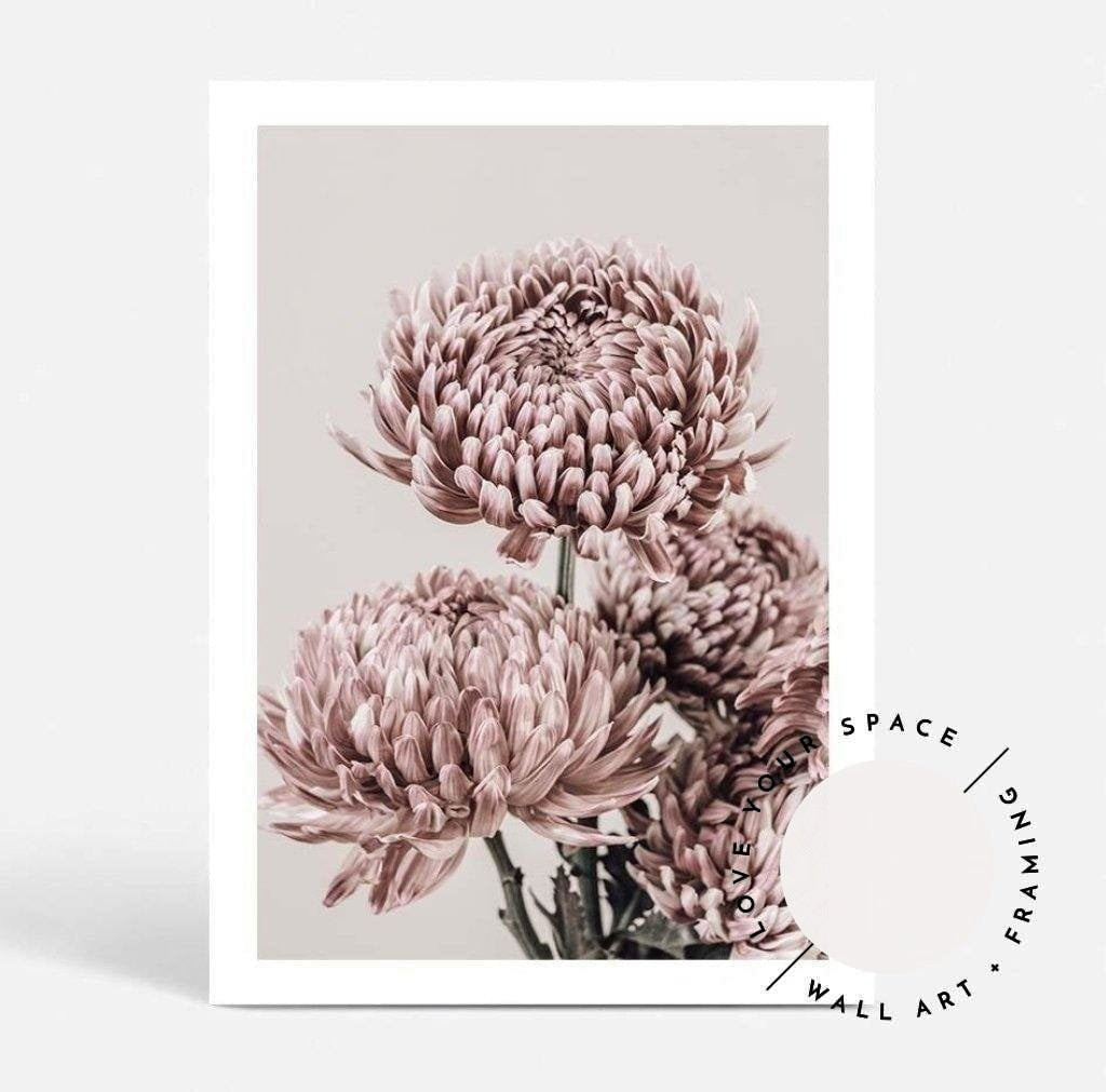 Set of 2 - Vintage Chrysanthemum I & II - Love Your Space